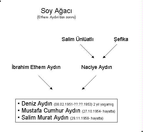 Soy Agacı-2
