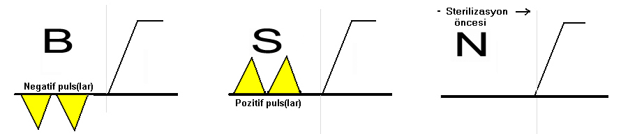 otoklav sınıflandırma B, N, S